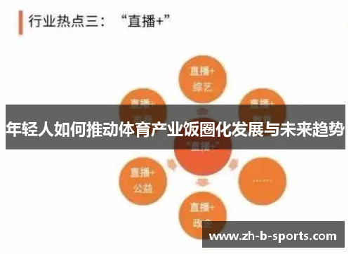 年轻人如何推动体育产业饭圈化发展与未来趋势