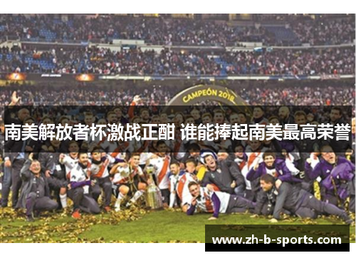南美解放者杯激战正酣 谁能捧起南美最高荣誉